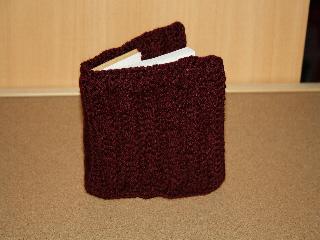 Carnet bordeau
