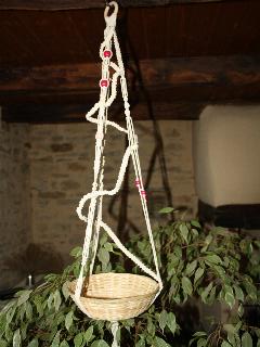 Suspension plantes
